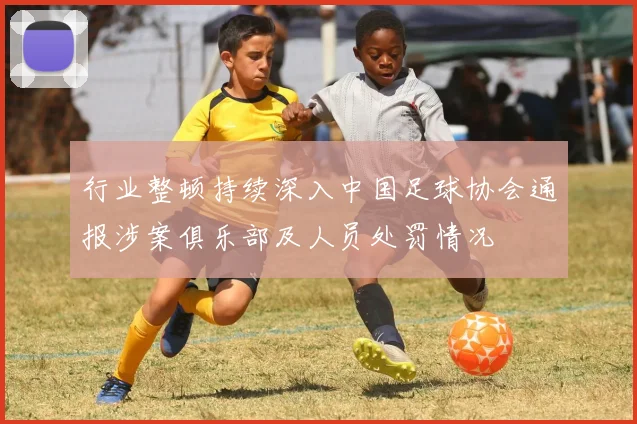 行业整顿持续深入中国足球协会通报涉案俱乐部及人员处罚情况