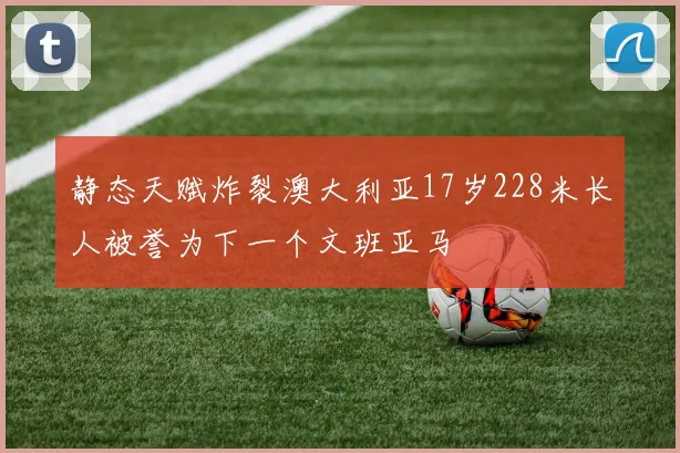 静态天赋炸裂澳大利亚17岁228米长人被誉为下一个文班亚马